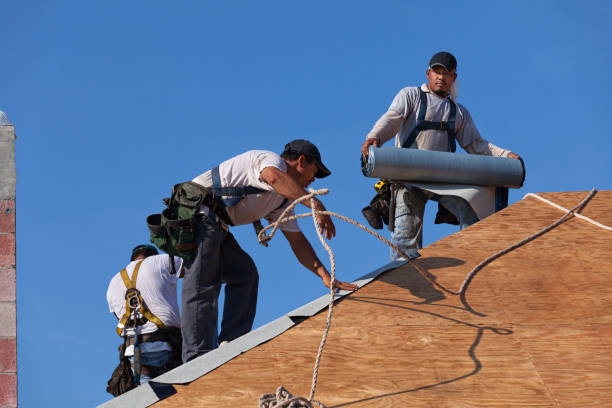 Roof Gutter Cleaning in Lake Clarke Shores, FL